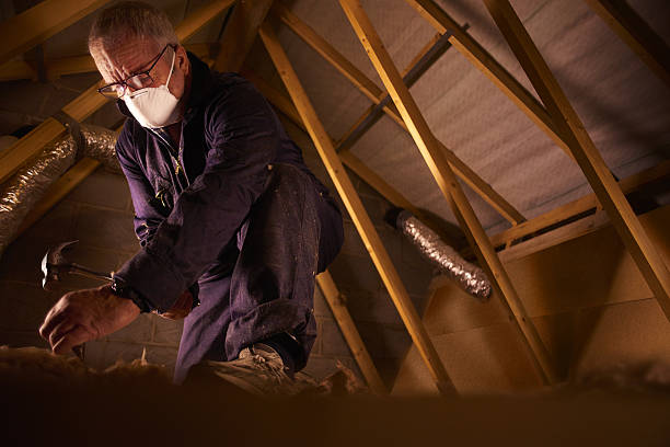 Best Eco-Friendly Insulation in Thermopolis, WY